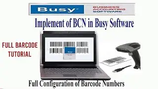 Implement of BCN in Busy Software | Configuration of Barcode Numbers in Busy