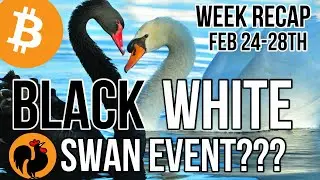 Week Review, Black or White swan?   Crypto Minute, Feb 24-28th, Daily Bitcoin Cryptocurrency News