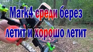 Mark4 сравнение полёта с, Protek35, XL7, VD5 в березовом лесу Ч2