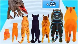 Cat Evolution to MAX LEVEL