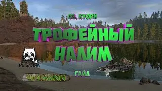 РУССКАЯ РЫБАЛКА 4 ГАЙД - ТРОФЕЙНЫЙ НАЛИМ. ОЗЕРО КУОРИ. ГДЕ И НА ЧТО ПОЙМАТЬ?