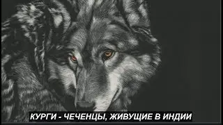 КУРГИ  чеченцы, живущие в Индии  №1116