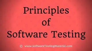 Seven Software Testing Principles