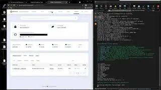 How to build a MultiversX (former Elrond) node - Part 10 - Install a Backup Node or Node Redundancy