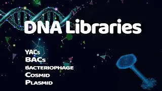 DNA Libraries | Genome Libraries | YACs | BACs | Cosmid | Bacteriophage | Plasmid | DNA Storage