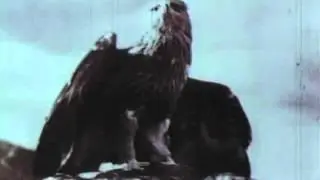 Неизвестная война, фильм 9-й. Битва за Кавказ.