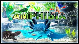 150 Gallon SWAMP SIMULATION ( Battle for king of Amphibia ) Pt 1