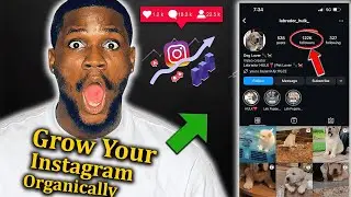 How To Grow On Instagram Organically -⚠️My Experience & Result