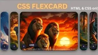 Animated CSS Flex Card using HTML & CSS only 