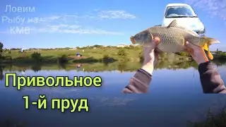 Рыбалка(КМВ), Ставропольский край, Привольное 1-й пруд от села (Privolnoefish) Тест камеры sj8 pro🔥