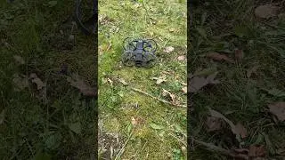 Grass DJI Avata A Turtle Mode Test #shorts #djiavata2 #fpvbeginner