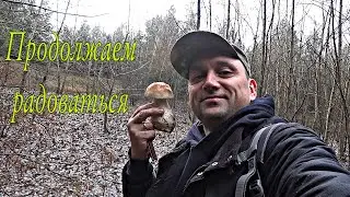 С грибами проблем нет 🌧🍄🍄🍄🌧