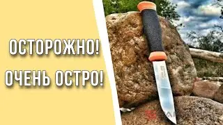 С ЧЕМ Я ХОЖУ В ЛЕС ЗА ГРИБАМИ / ОБЗОР МОИХ НОЖЕЙ / ОСТОРОЖНО! Очень ОСТРО!