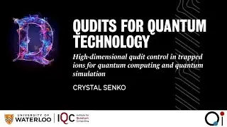 High-dimensional qudit control in trapped ions for quantum computing and quantum simulation