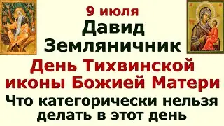 9 июля Давид Земляничник. Тихвинская икона Божией Матери. Народные приметы и обычаи дня.