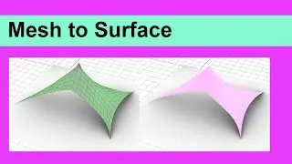 Mesh to Surface