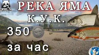 🌟РЕКА ЯМА🌟КРАСНОПЁР-УГАЙ КРУПНОЧАШУЙЧАТЫЙ / 350 СЕРЫ ЗА ЧАС🌟Русская Рыбалка 4(РР4)🌟