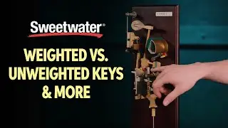 Weighted vs Unweighted Keys & More 🎹 | Keyboard Lesson