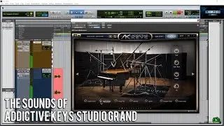 THE SOUNDS OF | ADDICTIVE KEYS STUDIO GRAND