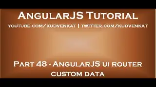 AngularJS ui router custom data