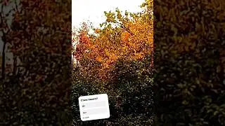 🍁Оенний☔️Дождь🌧