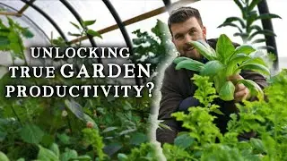 The Secret to a Highly-Productive Vegetable Garden is Flavour