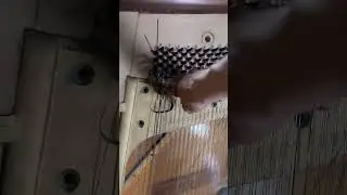 Последние звуки пианино