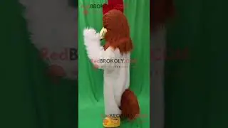 Very Funny and Furry Chicken Mascot Costume