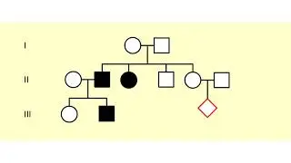 Human Pedigree Diagrams Animation