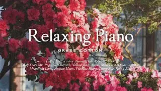 [24/7] A relaxing and calm piano song that will soothe your tired mind l GRASS COTTON+