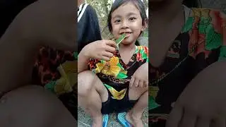 makan anak lebah