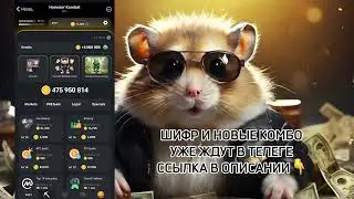 🚨 Новые комбо карты 25-26 июня - Хамстер Комбат на сегодня | Hamster Kombat #hamsterkombat