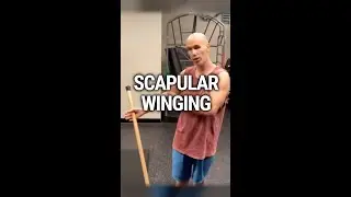 Scapular Winging Exercise | Ed Paget