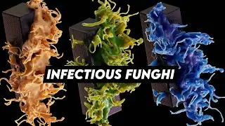 Deadly (but beautiful) FUNGHI INFECTION with Cinema 4D and Insydium NeXus