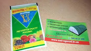 Універсальний регулятор росту ВИМПЕЛ Огляд та застосування