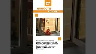 #новости #5каналКараганда