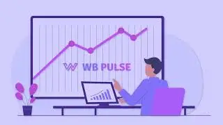 WB Pulse - сервис финансово-управленческой отчетности для селлеров