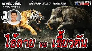 เล่าเรื่องลี้ลับกับหนุ่มคงกระพัน | ไอ้ลายvsเขี้ยวตัน