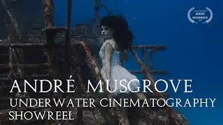 Underwater Cinematography Showreel 2024 | André Musgrove