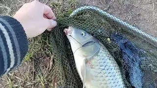 Рыбалка (КМВ). Колхозные пруды - большой водоем. Рыбалка в Новолуние : сазан на донку...