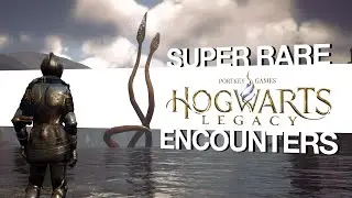 SUPER RARE Hogwarts Legacy Encounters you might have missed!