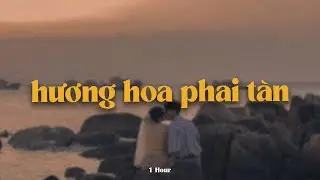 Hương Hoa Phai Tàn (1 Hour) - H2K x KProx「Lo - Fi Ver.」 / Audio Lyrics Video