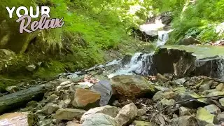 Soothing Sounds Of Waterfall. White Noise For Quick Relaxation