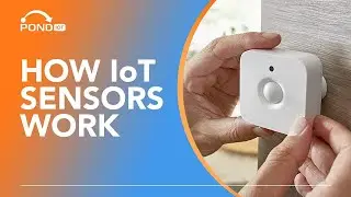 Unveiling IoT Sensors: Revolutionizing Tech in Homes & Industries