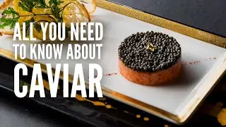 What is Caviar? Here’s Everything You Need to Know!