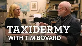 The Curiosity Show Ep. 14 Taxidermy at NHMLA with Tim Bovard