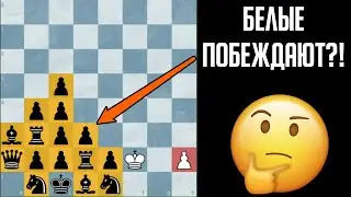Реши это, если ты ГЕНИЙ! | Шахматная задача 🔥