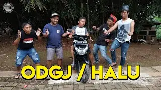 ODGJ / HALU