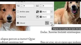 ID - ASTUCE 39 INDESIGN 2025 - Créer un calque avec éléments décoratifs dans une mise en page