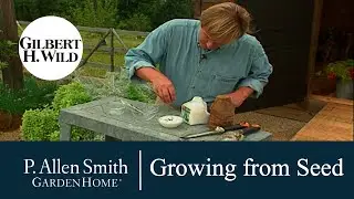 Tips on Growing Flowers and Produce from Seed | Garden Home (707)